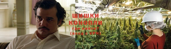 гидра Алексеевка