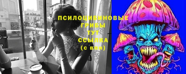 гидра Алексеевка