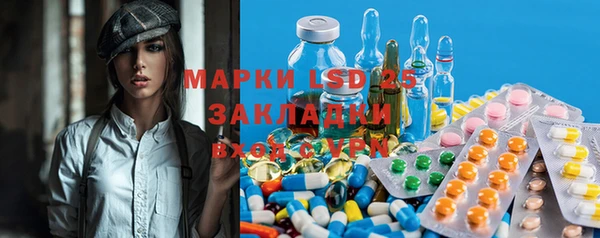 гидра Алексеевка