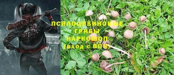 прущие крисы Алексин