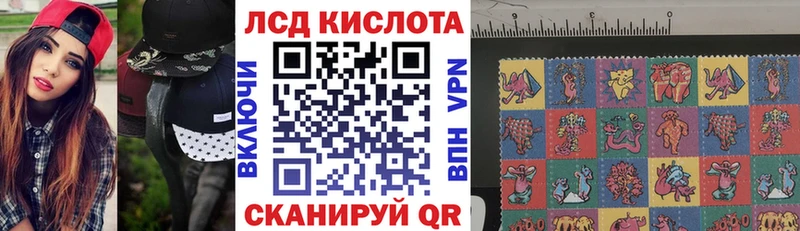 дарнет шоп  Прохладный  Наркотические марки 1,5мг 