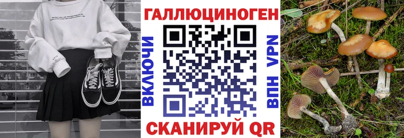 Галлюциногенные грибы Magic Shrooms  Прохладный 